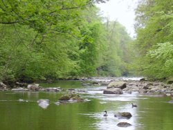 Allen Banks,Northumberland