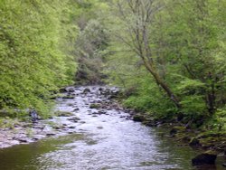 Allen Banks,Northumberland Wallpaper