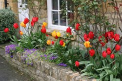 Colourful Garden Wallpaper