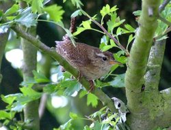 Kings Mill reservoir Wallpaper