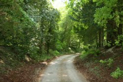Church Lane, Dalham Wallpaper