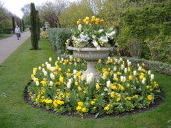 Regent's Park Wallpaper