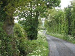 Hothersall Lane Wallpaper