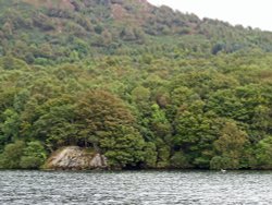 Part of the shoreline of Windermere