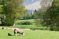 View from near Calf Close Bay towards the town and Skiddaw Wallpaper
