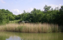 Fermyn Woods Country Park Wallpaper