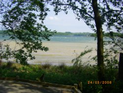 Conservation area Wallpaper