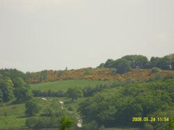 Dam Wall