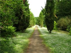 The Garden Walk, Wallington Hall.