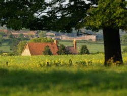 View from Steeple Claydon churchyard Wallpaper