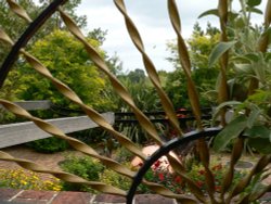 Beer Gardens, Devon Wallpaper