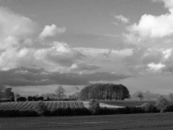 B+W pic of farmland near Middle Claydon, Bucks.