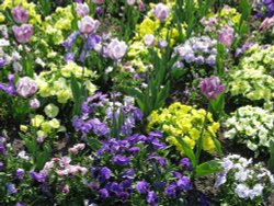 Abbey Gardens Wallpaper