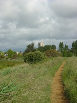 Beside the River Frome Looking Towards Wareham