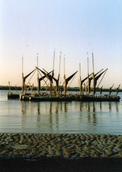 Thames Barges Moored off Gravesend