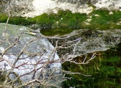 The river Kent Wallpaper