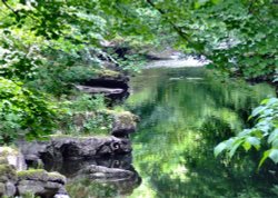 The river Kent Wallpaper