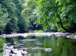 The river Kent Wallpaper