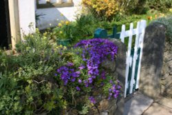 Village garden Wallpaper