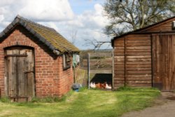 Hodnet farm scene