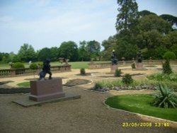 Gardens Osborne Wallpaper