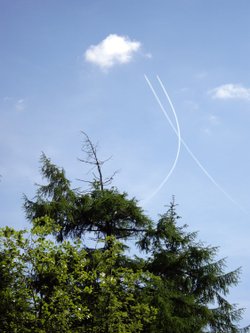 Sky Kiss