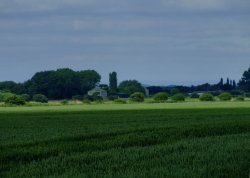 Near Misson Wallpaper