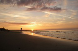 man at work Wallpaper