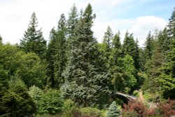 Cragside Estate, nr Rotherbury, Northumberland.