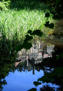 Reflecting Pool at Cragside Estate, nr Rotherbury, Northumberland.