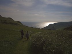 Soar Mill Cove Wallpaper