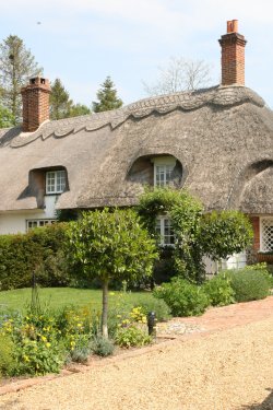 Dalham thatch