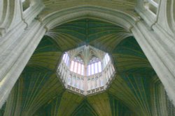 The Lantern Wallpaper