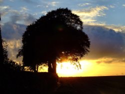 Setting sun