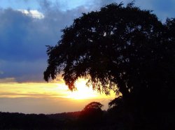 Blue and gold sky