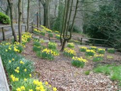 Heights of Abraham Wallpaper