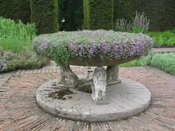 Thyme fills an old fountain at Sissinghurst castle garden, Kent Wallpaper