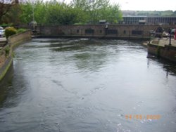 The East Mill Wallpaper