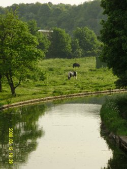 Canal