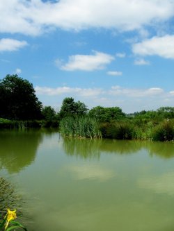 Toft Lakes