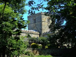 The church through the trees Wallpaper