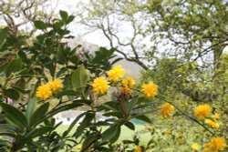 Overlooking the cricket pavilion, Fitz Park Wallpaper