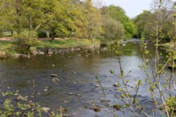 The River Greta Wallpaper