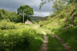 Walk around Dunsop Bridge Wallpaper