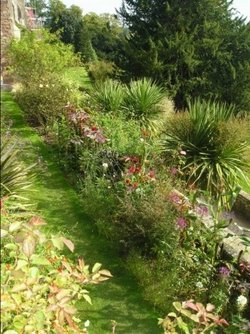 Berkeley Castle garden