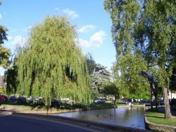 Lovely trees, Bourton on the Water Wallpaper