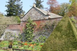 Espaliered trees in the walled garden Wallpaper