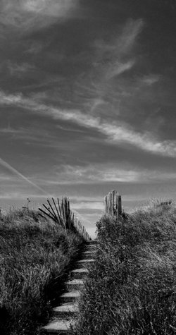 Towards the beach