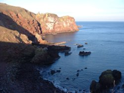 The cliffs at St.Abbs, near Berwick-Upon-Tweed