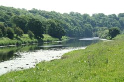 Along the River Ribble Wallpaper
